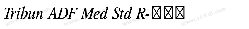 Tribun ADF Med Std R字体转换 Tribun ADF Med Std R字体转换